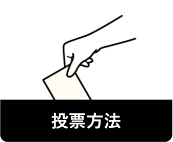 投票方法